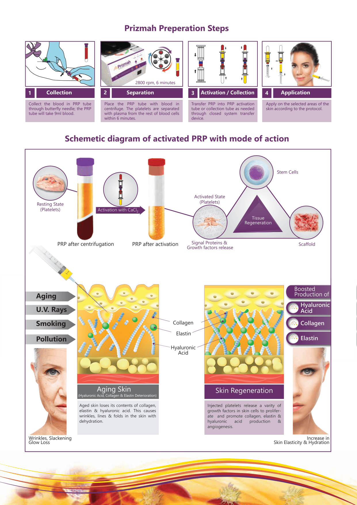 Aging skin